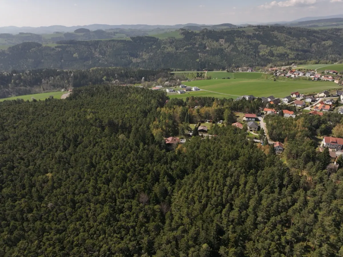 Südblick vom Grundstück